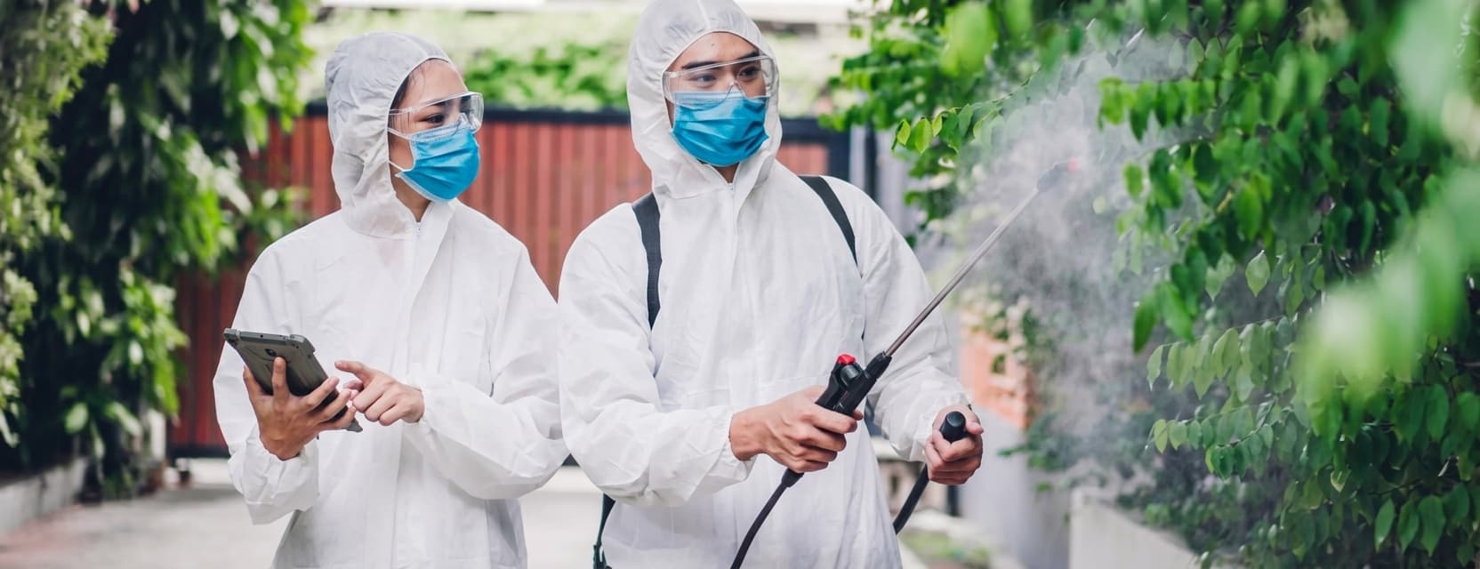 Pest control technicians treating an outdoor property