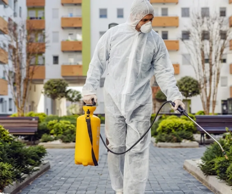 Mosquito Control